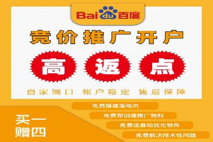 竞价SEM助力电商平台快速提升流量